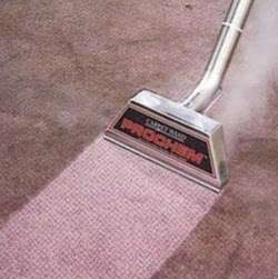 Harlow Carpet Cleaning | 8, Harlow Business Park, Harlow CM19 5QF, UK | Phone: 07798 710668