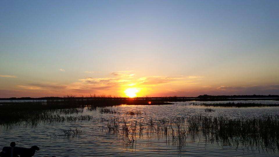 Florida Fish Guide/ Nature Tours | Magnolia Park Boat Ramp, Apopka, FL 32703 | Phone: (321) 363-6550