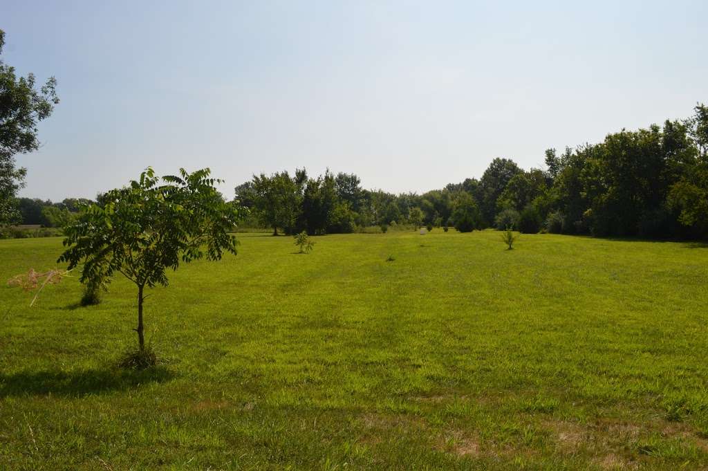 Goethes Back Yard | 28015 S Bybee Rd, Harrisonville, MO 64701, USA | Phone: (816) 607-1178