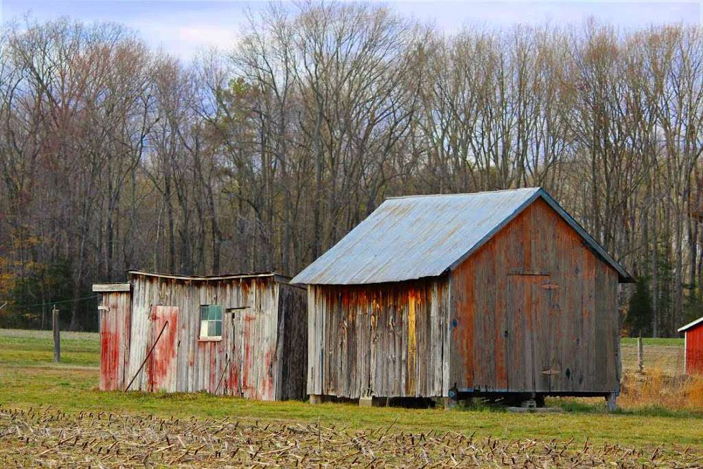 Southern Maryland Growers | 23120 Cedar Lane Rd, Leonardtown, MD 20650, USA | Phone: (240) 925-6697