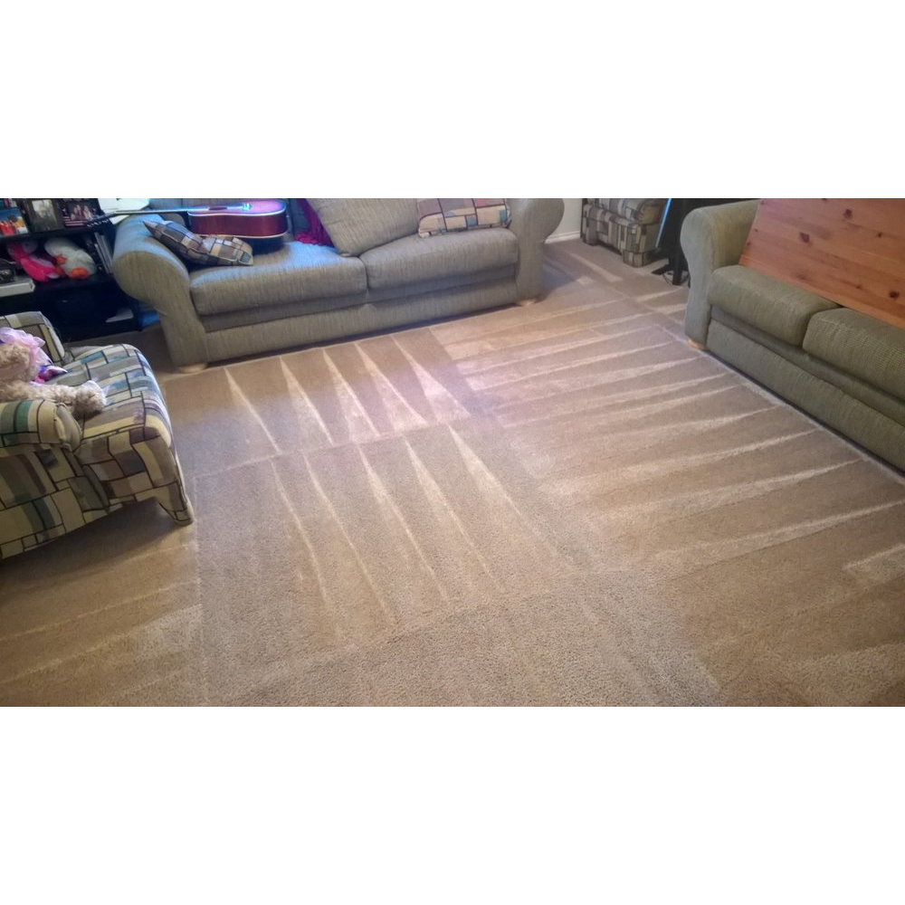 Pearwood Carpet Cleaning | 1034 Chesterwood Dr, Pearland, TX 77581, USA | Phone: (832) 350-0494