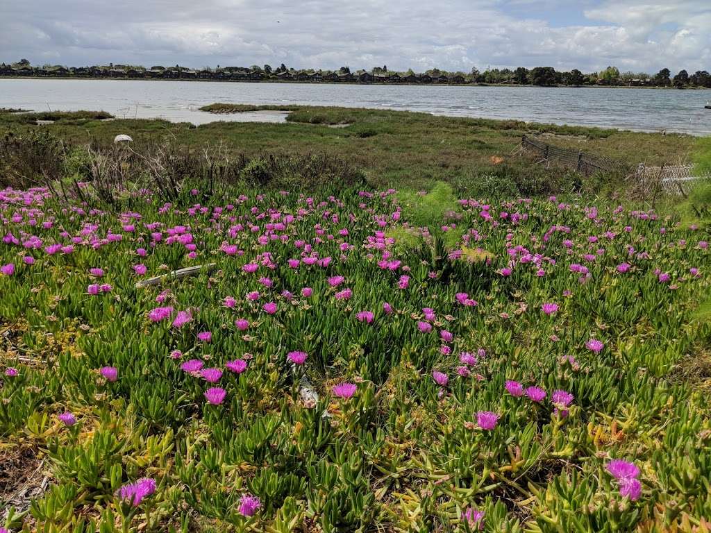 Elsie Roemer Bird Sanctuary | Alameda, CA 94501, USA | Phone: (888) 327-2757