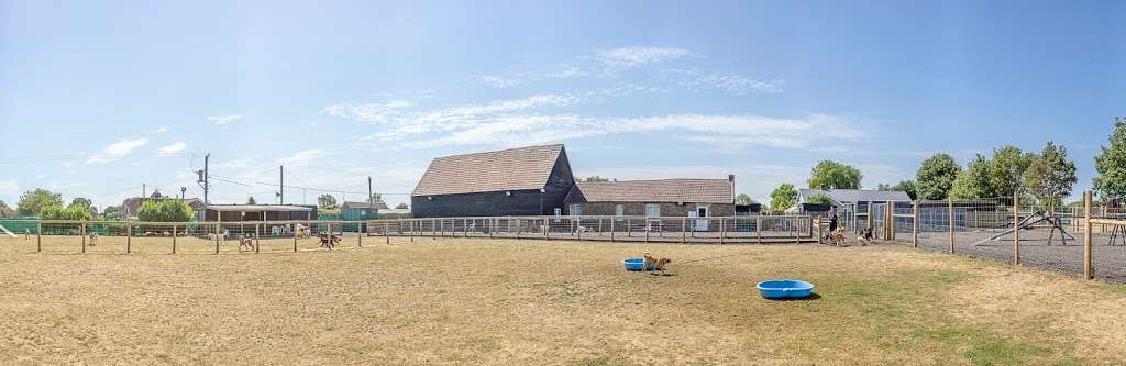 Barehams Boarding & Daycare Centre | Old Kennel Farm, Brentwood Rd, Orsett, Grays RM16 3DR, UK | Phone: 01375 891421