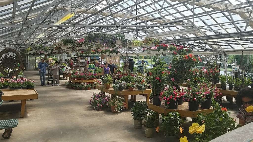 Johnsons Florist and Garden Centers | 5011 Olney Laytonsville Rd, Olney, MD 20832 | Phone: (301) 987-1940