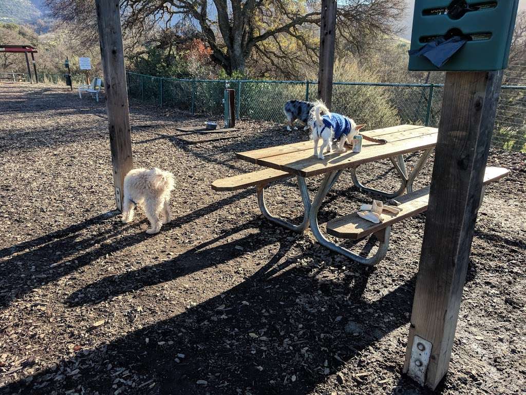 Clayton Dog Park | Marsh Creek Rd, Clayton, CA 94517, USA | Phone: (925) 203-5626