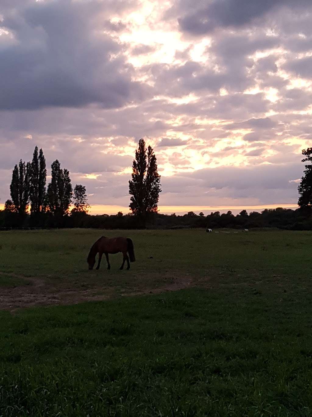 Petasfield Cottages | Mangrove Rd, Hertford SG13 8QQ, UK | Phone: 01992 504201