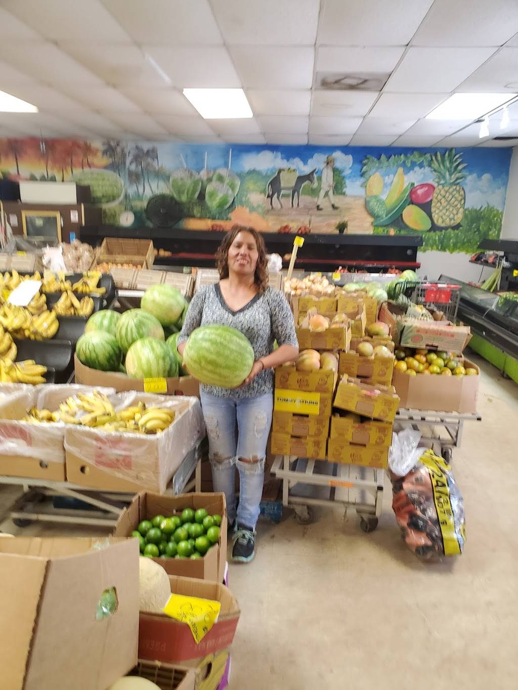 Coco Frio Fresh Produce | 2412 N Armenia Ave, Tampa, FL 33607, USA | Phone: (813) 516-7690