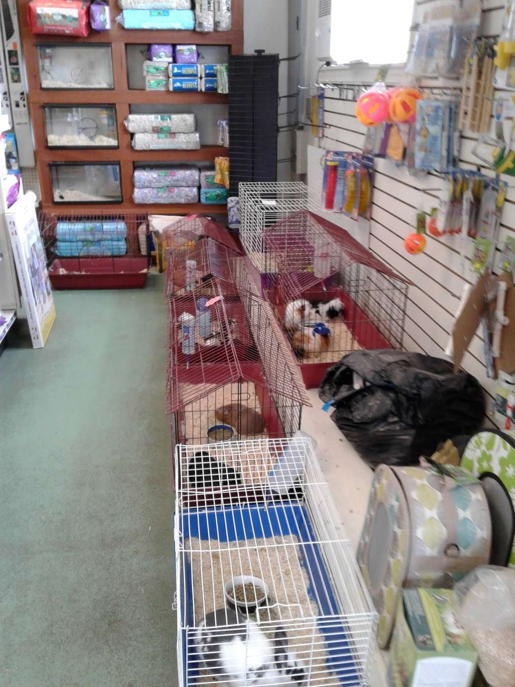 Pets World | 147 Bridge St, Weymouth, MA 02191 | Phone: (781) 331-0181