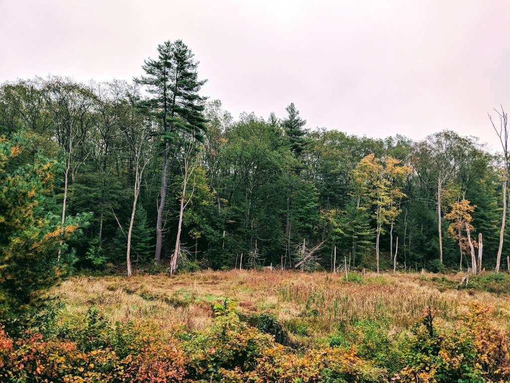 Forty Caves | Berlin, MA 01503, USA