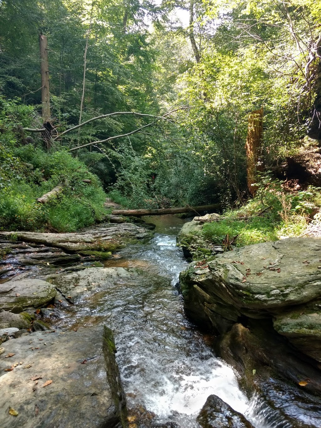 Kellys Run Nature Preserve | T397, Holtwood, PA 17532, USA | Phone: (717) 669-5990