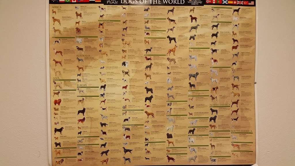 Southern Kern Veterinary Clinic, Inc | 4455 Rosamond Blvd, Rosamond, CA 93560, USA | Phone: (661) 256-8121