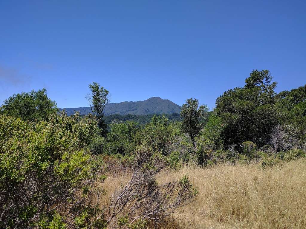 Camino Alto Open Space Preserve | Sandy Ln, Mill Valley, CA 94941