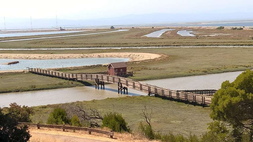 Don Edwards National Wildlife Refuge | 1 Marshlands Rd, Fremont, CA 94555, USA | Phone: (510) 792-0222