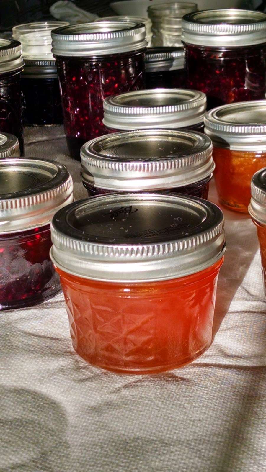 Temecula Valley Jams and Jelly Co. | One Better World Circle, Temecula, CA 92590, USA | Phone: (951) 415-6925