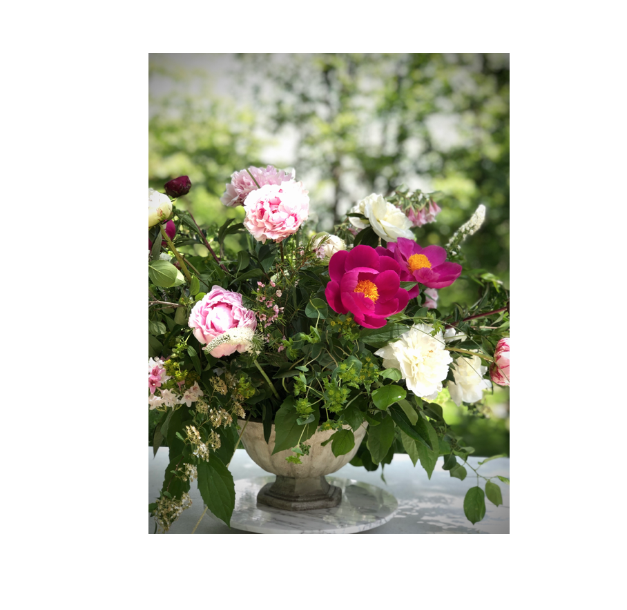 And Flowers, llc | 6053 Bunkerhill Street entrance is on Reservoir Drive, through the garden gates, Pittsburgh, PA 15206 | Phone: (412) 225-8300