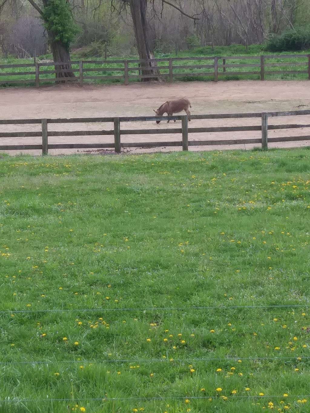 Walter B. Saul High School | 7100 Henry Ave, Philadelphia, PA 19128, USA | Phone: (215) 487-4467