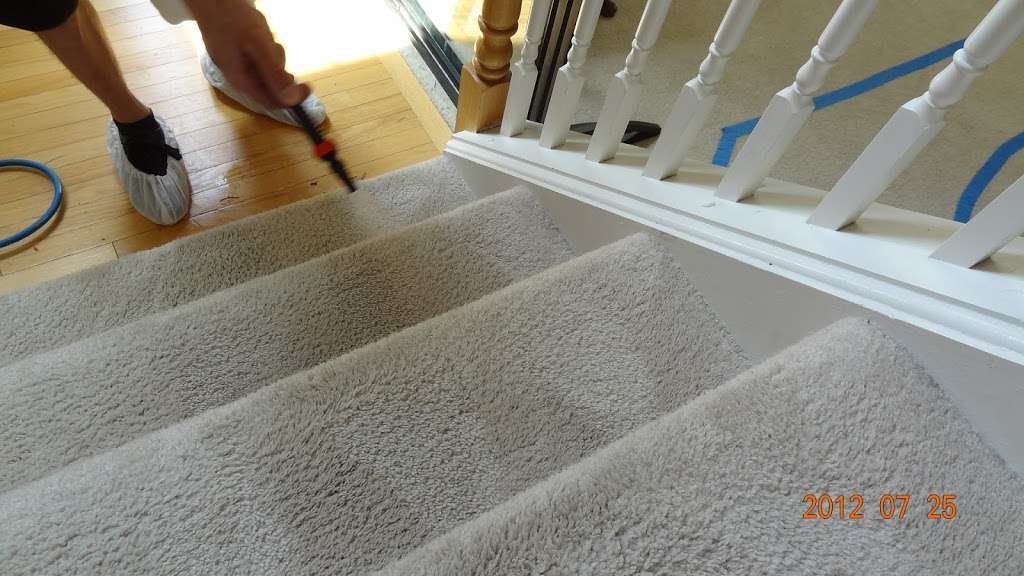 EcoClean Carpet Cleaning | 424 Fort Hill Dr #113, Naperville, IL 60540 | Phone: (630) 945-4181