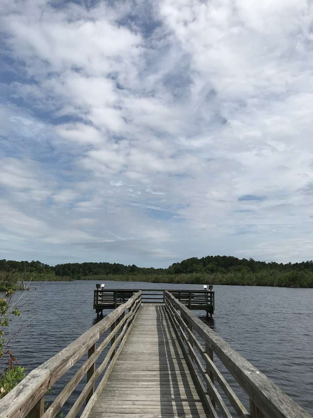 Pine Grove Trail Head | Pine Grove Trail, Milton, DE 19968, USA