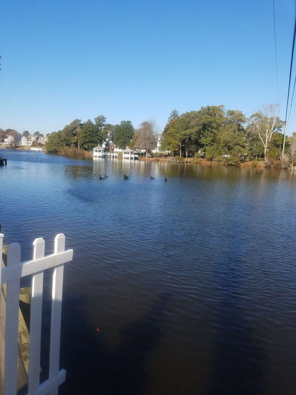 Silver Lake State Bird Refuge | Silver Lake Dr, Rehoboth Beach, DE 19971, USA