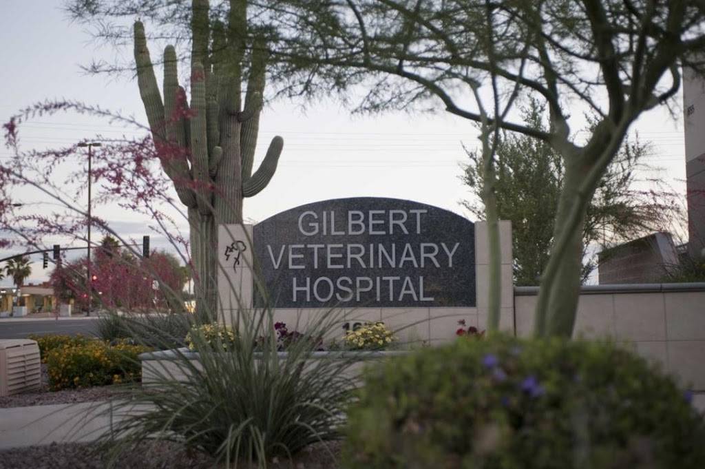Gilbert Veterinary Hospital | 1655 S Gilbert Rd, Gilbert, AZ 85295, USA | Phone: (480) 963-1815