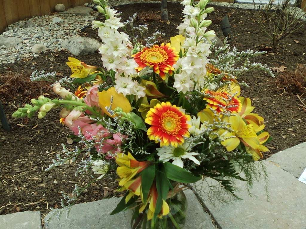 All Occasion Florist, LLC | 2091 Edgewood Rd, Chambersburg, PA 17202, USA | Phone: (717) 264-9224
