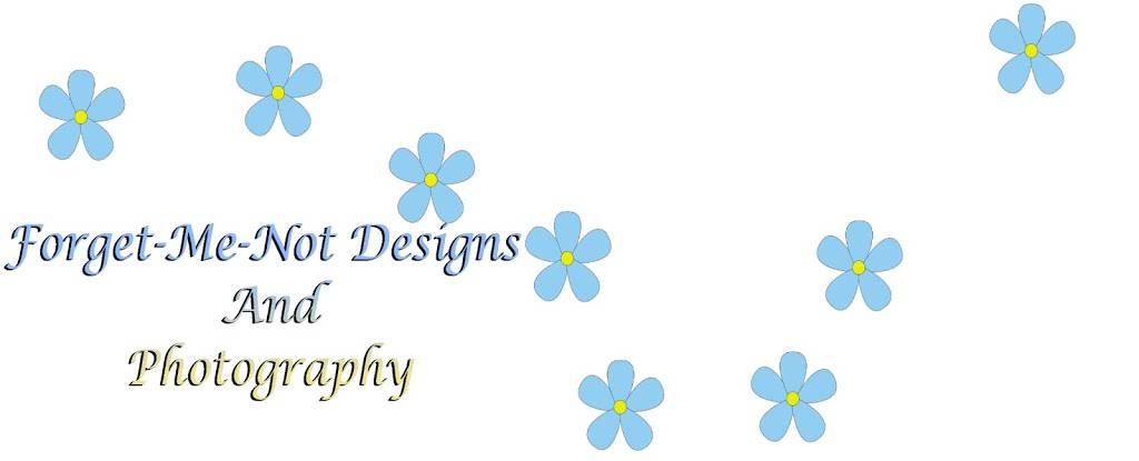 Forget-Me-Not Designs and Photography | 1520 OMalley Rd, Anchorage, AK 99507, USA | Phone: (907) 227-9737