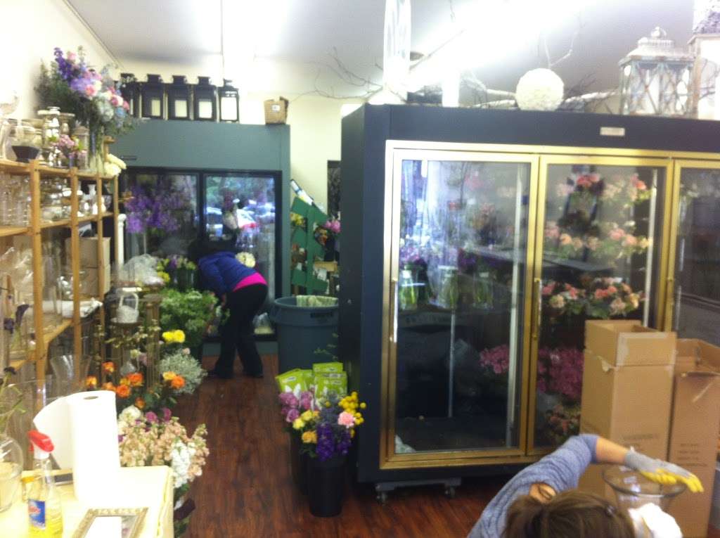 Black Dahlia Inc. | 691 Walt Whitman Rd, Melville, NY 11747, USA | Phone: (516) 456-5440