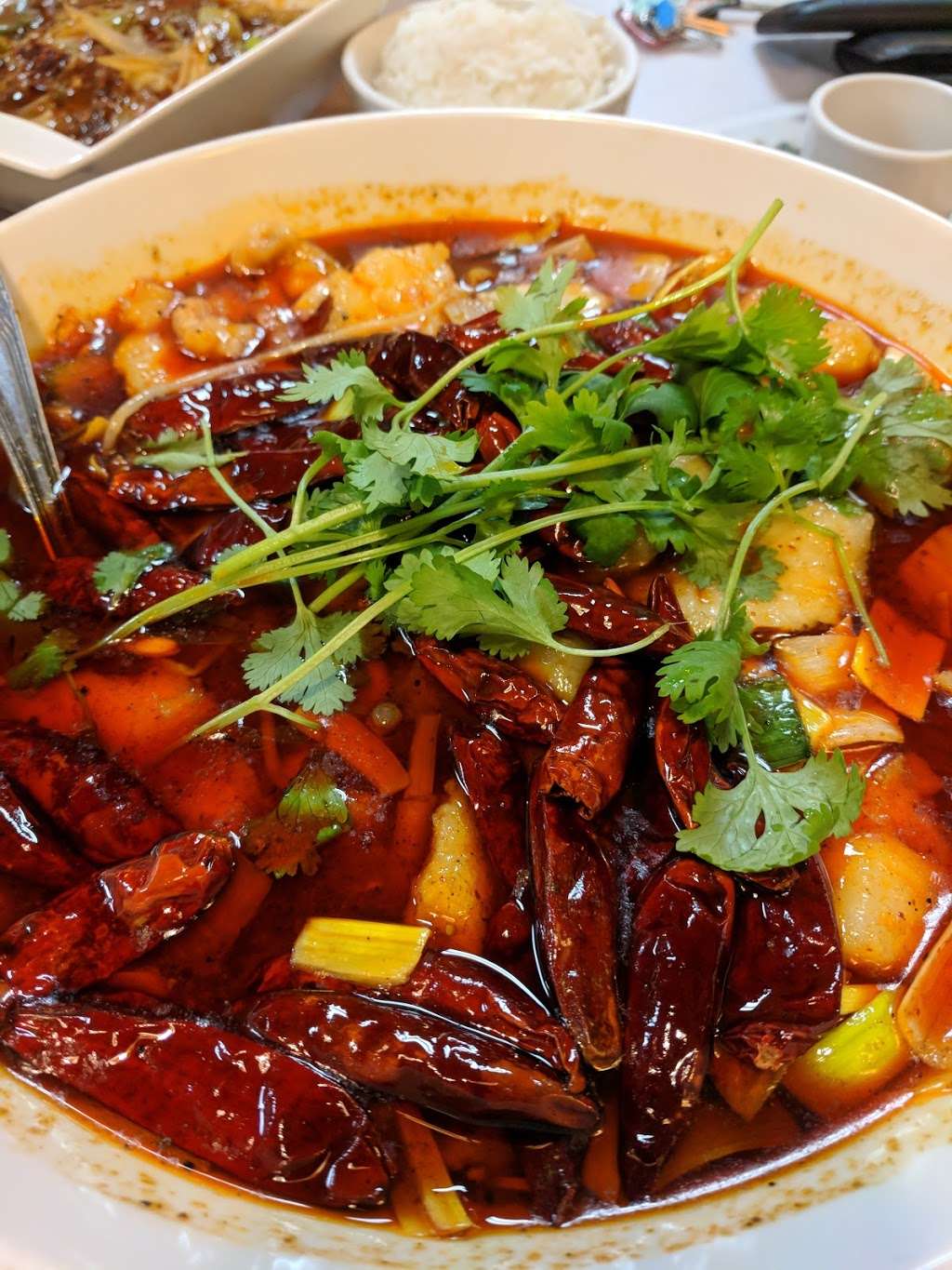 Sichuan Spring Chinese Restaurant | 1167 Raritan Ave, Highland Park, NJ 08904, USA | Phone: (732) 572-9510