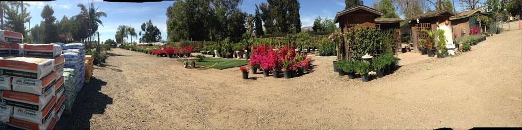 GREEN TREE NURSERY | 3977 Bradley Rd, Somis, CA 93066, USA | Phone: (805) 432-1245