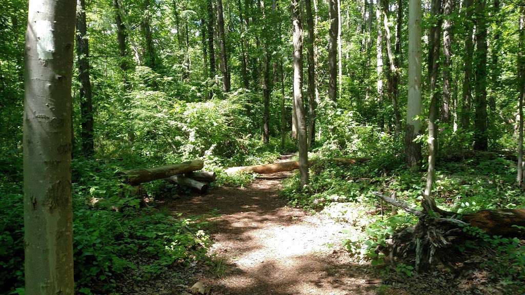 Culvers Gap Parking Lot | 2 Vansickle Road, Sandyston, NJ 07826