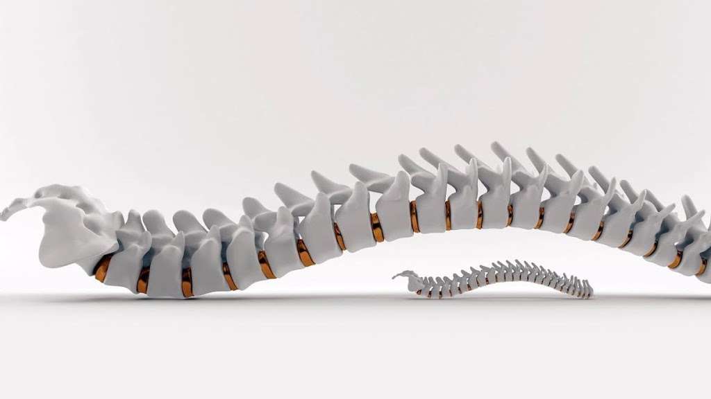 Precision Chiropractic | 15015 Westheimer Rd, K, Houston, TX 77082, USA | Phone: (281) 606-0905