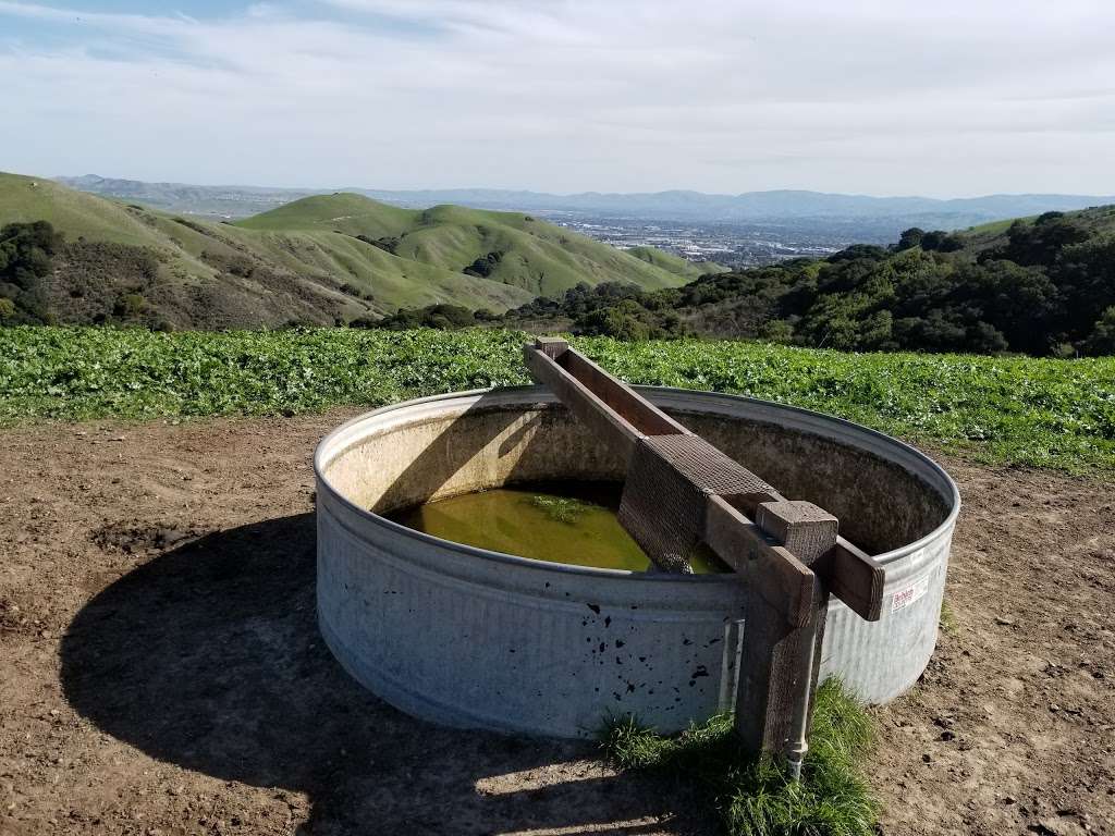 Donlon Point Staging Area | Calaveras Ridge Regional Trail, Dublin, CA 94568, USA | Phone: (510) 544-3030