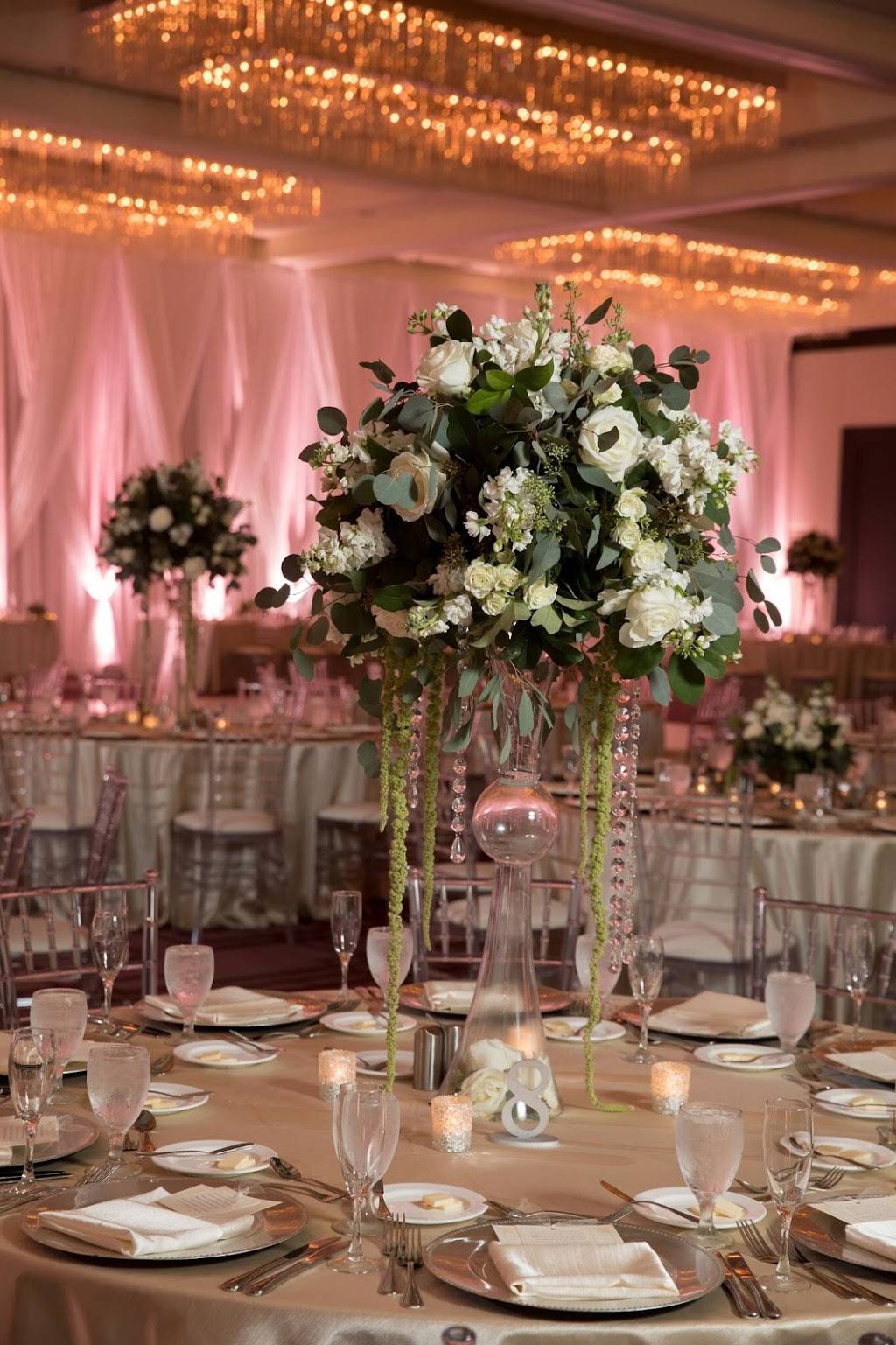 Events in Bloom | 9637 Palm River Rd, Tampa, FL 33619, USA | Phone: (813) 857-9098
