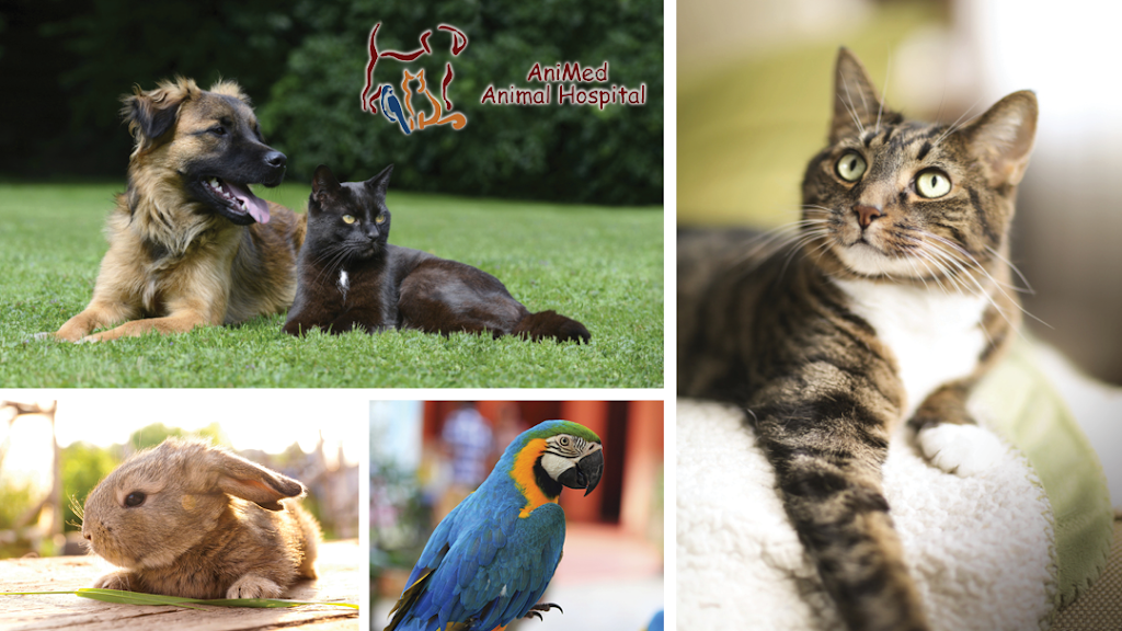 AniMed Animal Hospital | 1715 SW, MO-7, Blue Springs, MO 64014, USA | Phone: (816) 220-0222