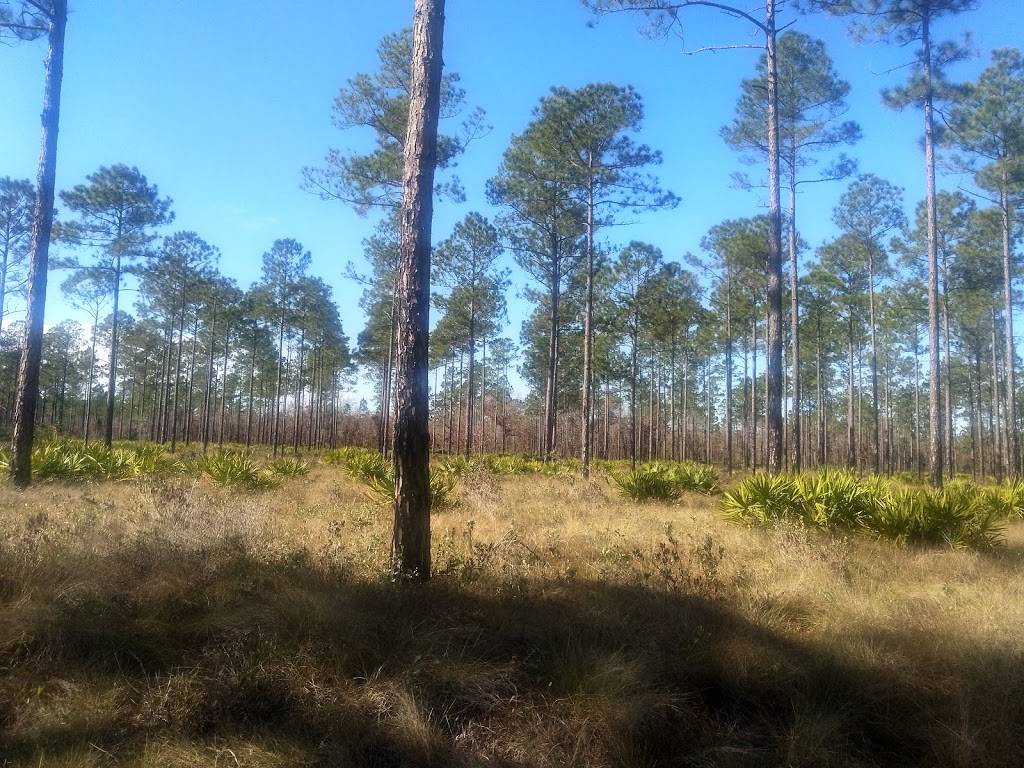 Branan Field Wildlife and Environmental Area | 11900 Branan Field Rd, Jacksonville, FL 32222, USA | Phone: (850) 955-8770