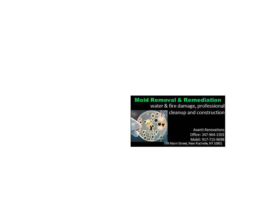 Avanti Mold Removal & Remediation | 799 Main St, New Rochelle, NY 10801, USA | Phone: (347) 964-1503