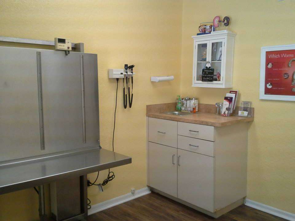 Volusia Woods Animal Clinic | 547 N Volusia Ave, Orange City, FL 32763, USA | Phone: (386) 775-5300