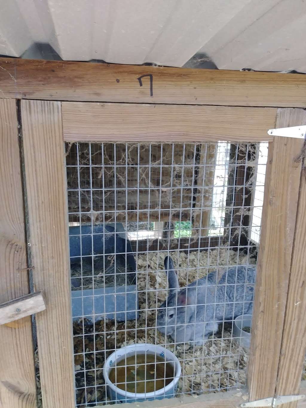 Boling Bunny Farm / Texas Custom Cages | 19239 FM442, Boling-Iago, TX 77420, USA | Phone: (979) 793-5858