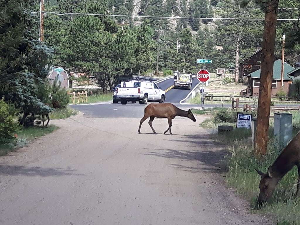 Monte Verde Cabin | 1001-1083 Middle Broadview Rd, Estes Park, CO 80517 | Phone: (970) 586-3708