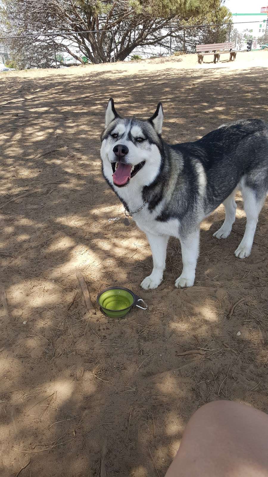 El Segundo Dog Park | E Imperial Ave, El Segundo, CA 90245, USA | Phone: (310) 524-2300