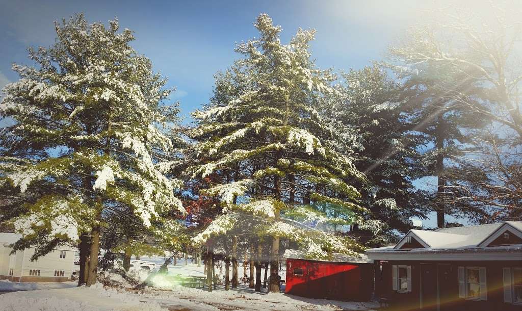 Red Fox Motel - 96 Washington St, Foxborough, MA 02035, USA - BusinessYab