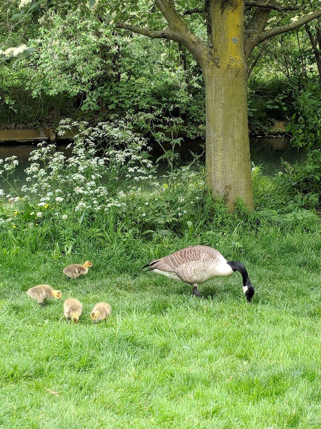 Woodberry Wetlands | Lordship Rd, New River Path, Woodberry Down, London N16 5HQ, UK | Phone: 020 3897 6154