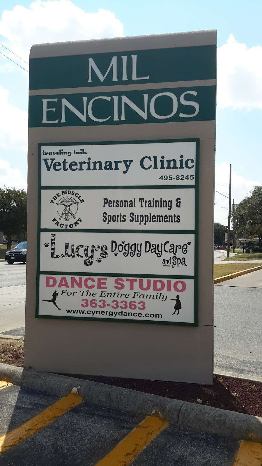 Traveling Tails Veterinary Clinic | 2250 Thousand Oaks #102, San Antonio, TX 78232, USA | Phone: (210) 495-8245