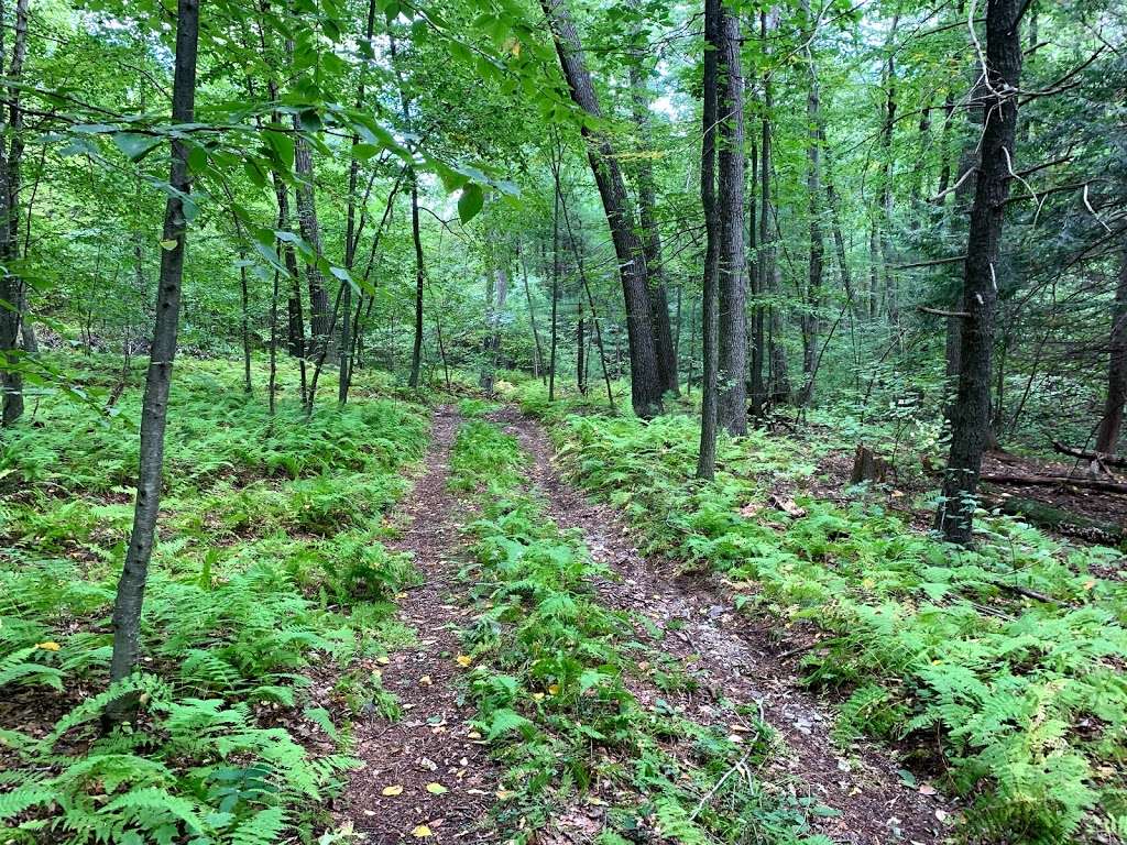 Mt Pisgah Bennett Trail Parking | 514-720 Lyman Rd, Northborough, MA 01532, USA