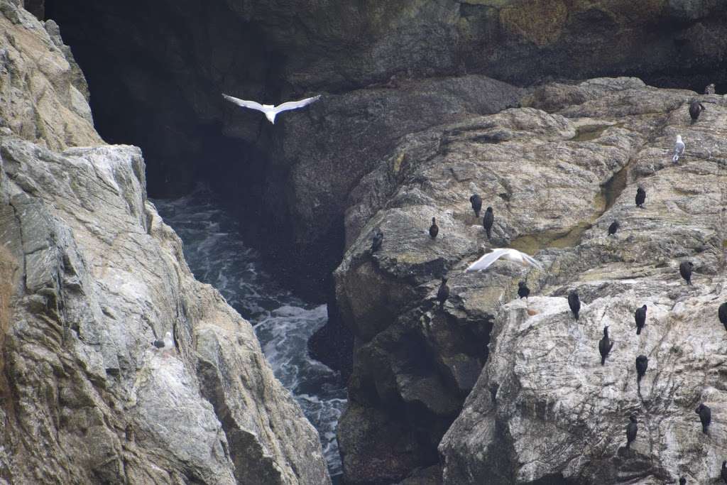 Devil’s Slide Trail (south parking lot) | CA-1, Half Moon Bay, CA 94019