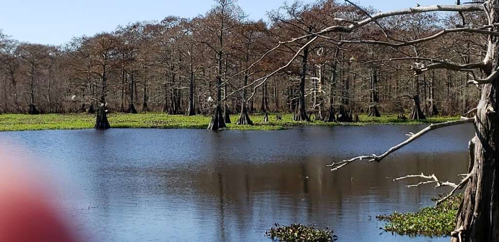 Trinity River Waterbird Rookery | I-10 Frontage, Wallisville, TX 77597, USA | Phone: (409) 389-2285