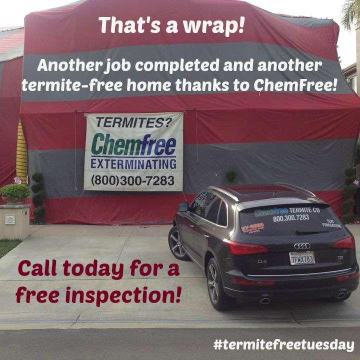 Chemfree Exterminating | 518 S Central Park Ave E, Anaheim, CA 92802, USA | Phone: (800) 300-7283