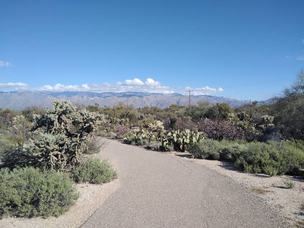 CASE NATURAL RESOURCE PARK | 9815 E Kenyon Dr, Tucson, AZ 85748, USA | Phone: (520) 791-4873