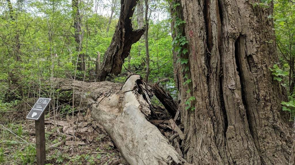 Elm Fork Nature Preserve Trail Entrance | 2335 Sandy Lake Rd, Carrollton, TX 75006, USA | Phone: (972) 466-3080