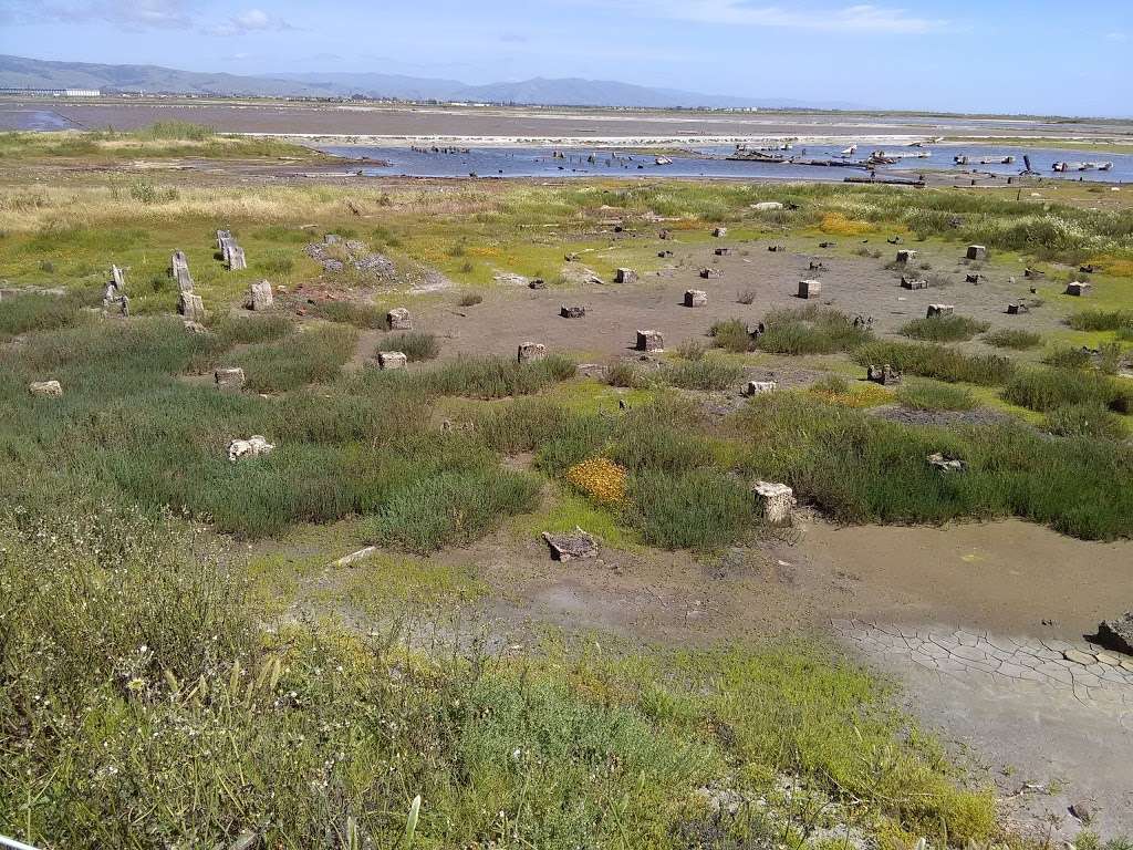 Eden Landing Ecological Reserve | Union City, CA 94587, USA | Phone: (707) 944-5500